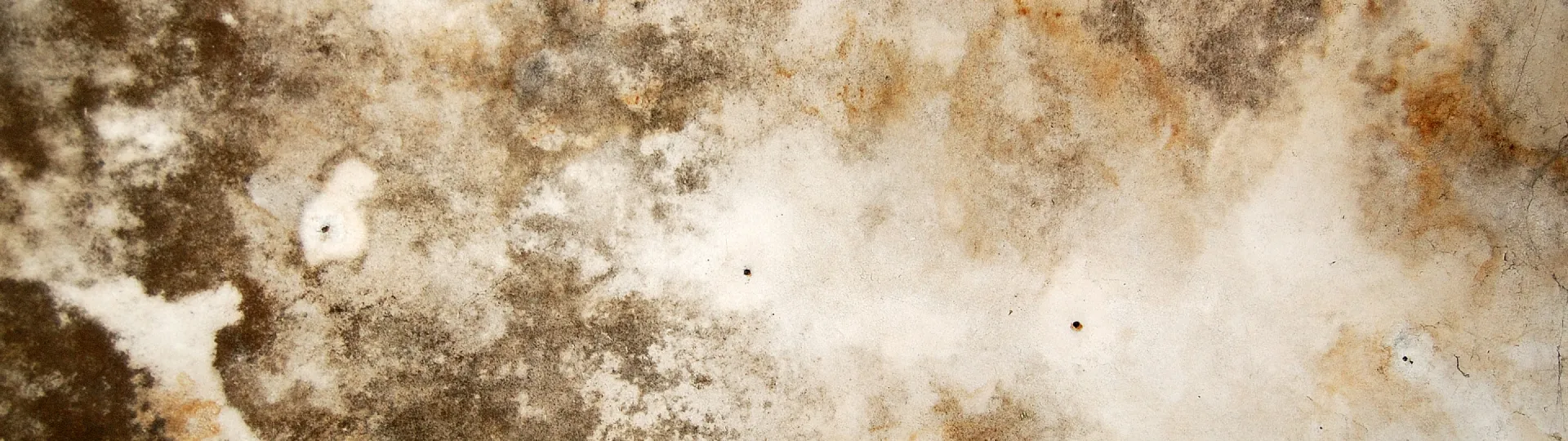 breadcrumb Water Mitigation & Restoration