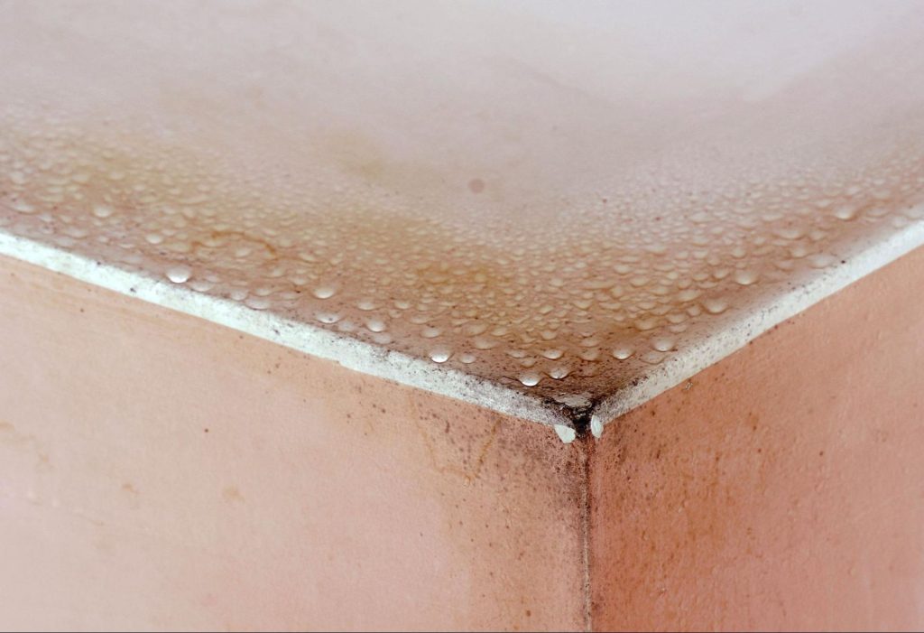 image1 3c2a95e6 1920w